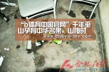 b体育中国官网